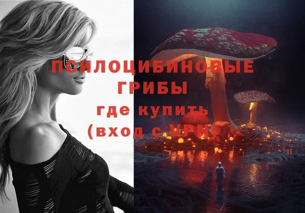 твердый Киреевск