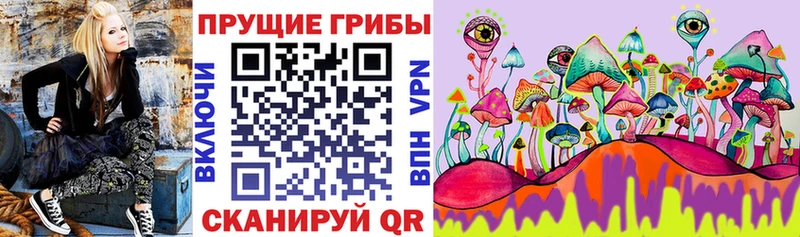 где продают   Меленки  Галлюциногенные грибы мухоморы 